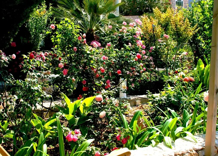 In Mit Schoenem Garten By Interhome Apartament Drašnice