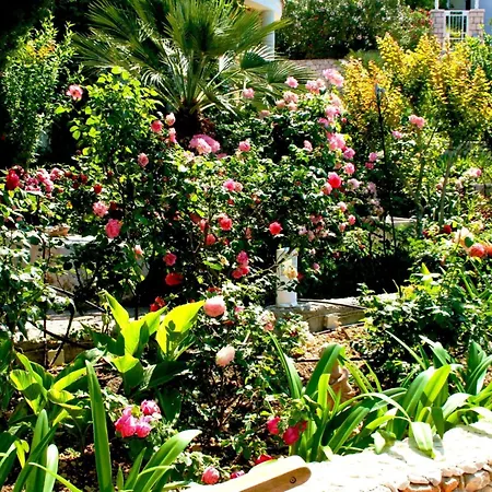In Mit Schoenem Garten By Interhome Daire Drasnice