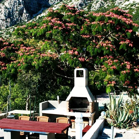 In Mit Schoenem Garten By Interhome